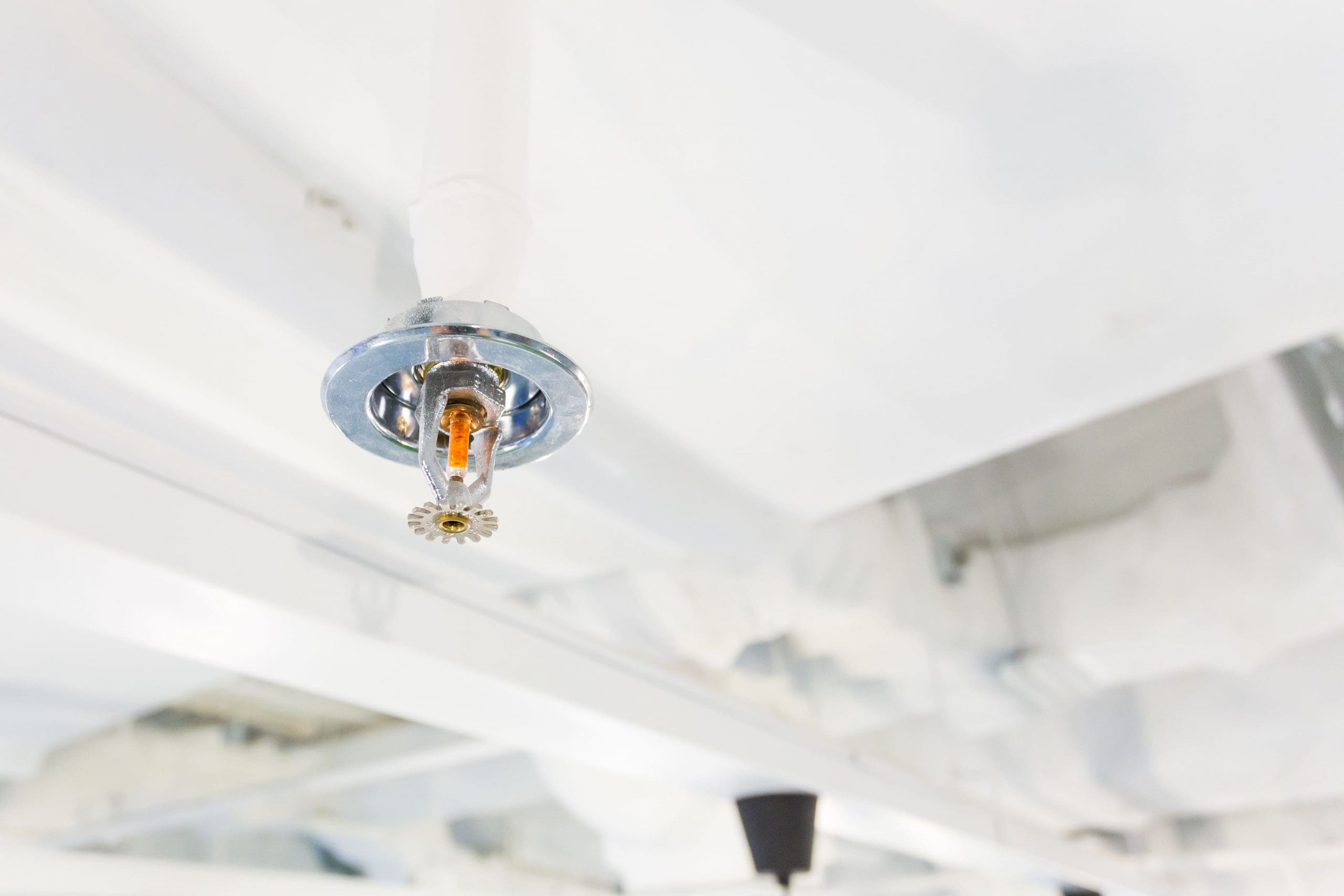 How Concealed Fire Sprinklers Blend in With Your Home or Business Decor