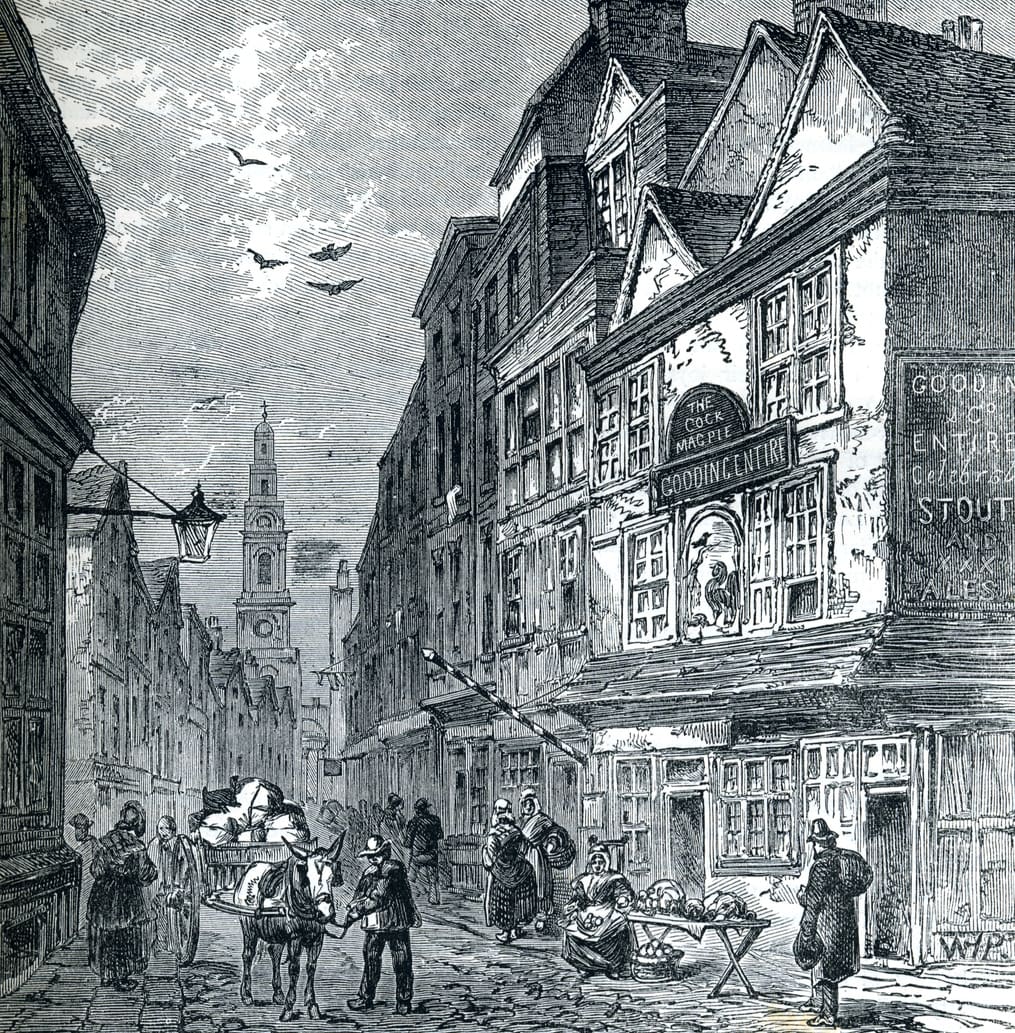 cock-and-magpie-public-house-drury-lane-london-england-19th-century